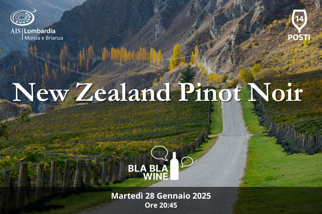 Bla Bla Wine. New Zealand Pinot Noir