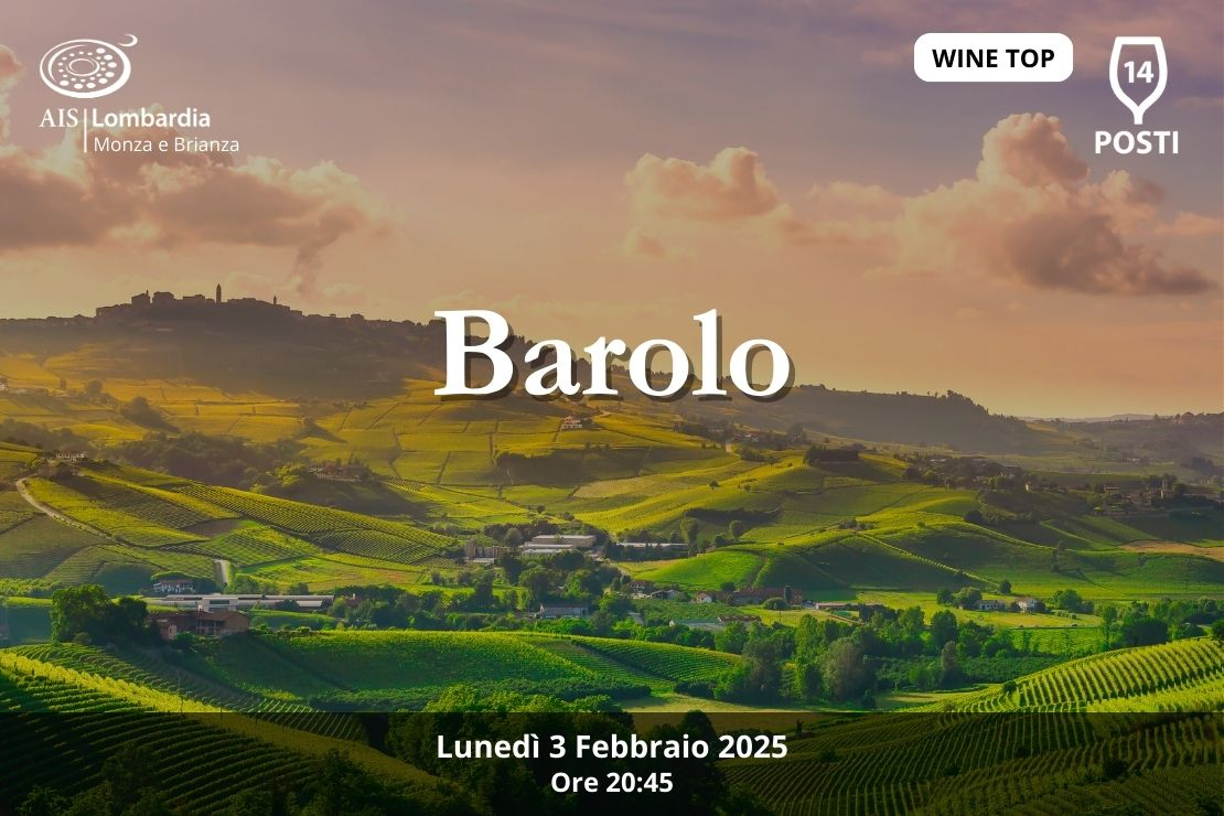 Wine Top: Barolo