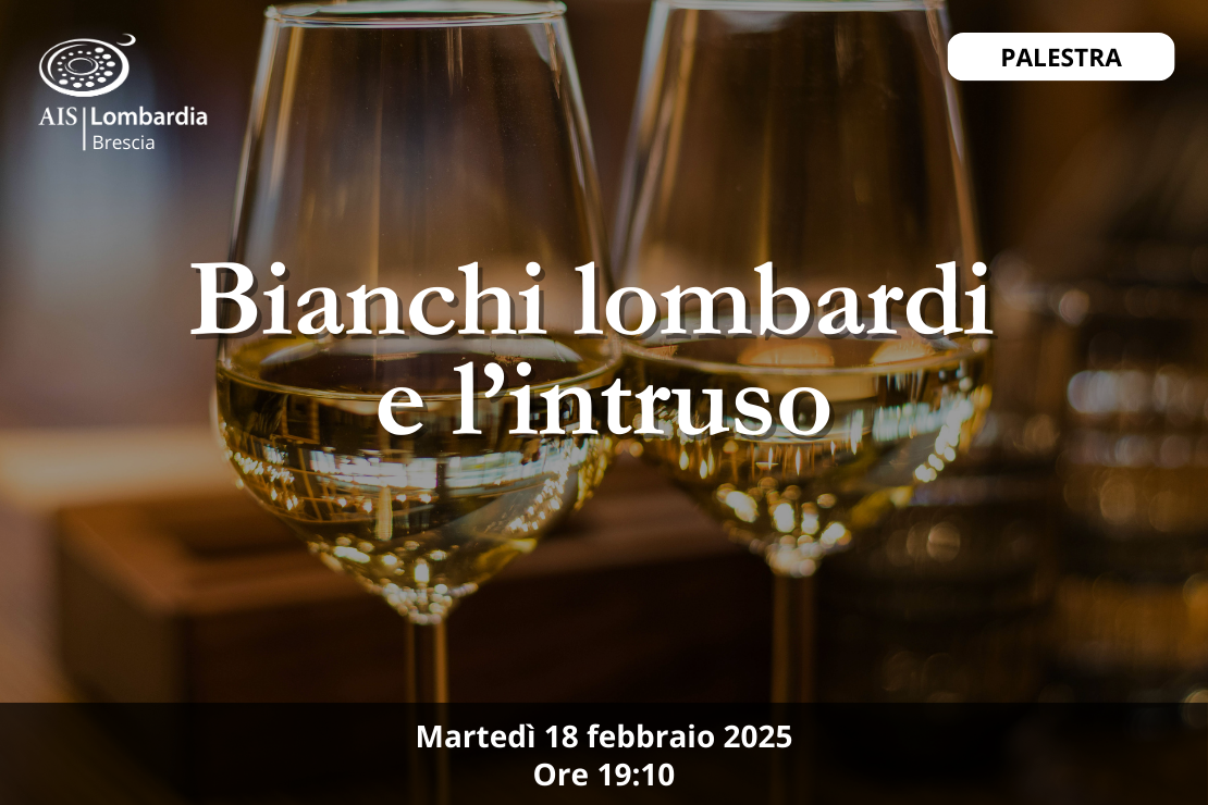 Palestra| Bianchi lombardi e l’intruso