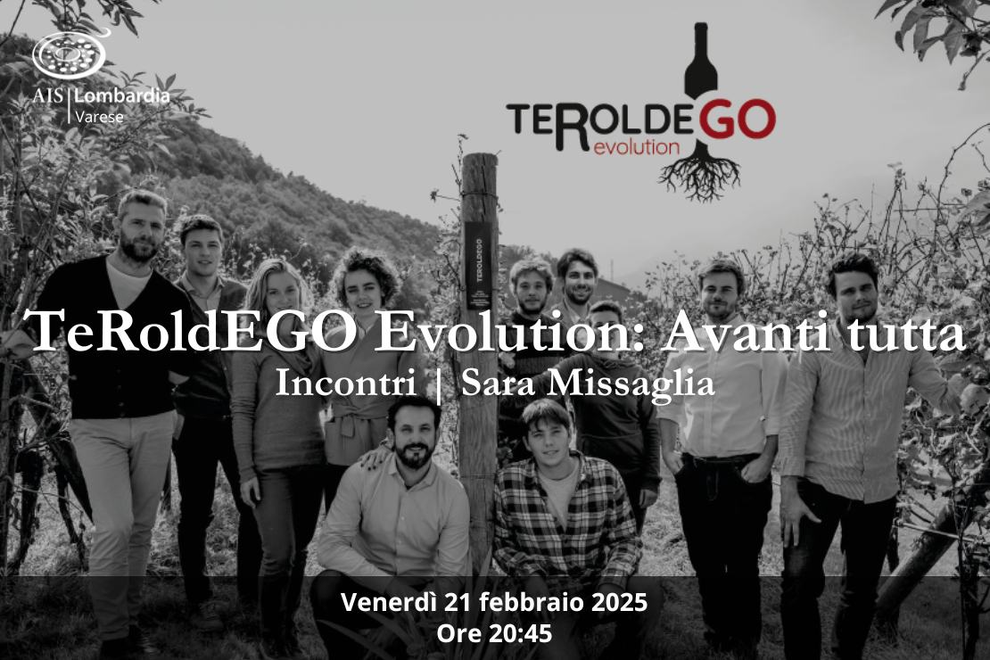 Incontri | TeRoldeGO Evolution: avanti tutta