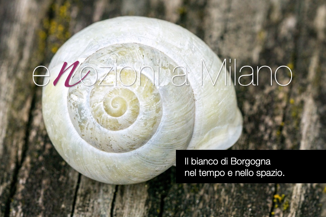 Enozioni a Milano 2025 - Il bianco di Borgogna nel tempo e nello spazio