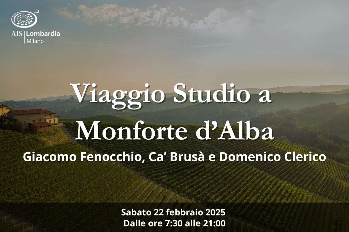 Viaggio Studio a Monforte D’Alba