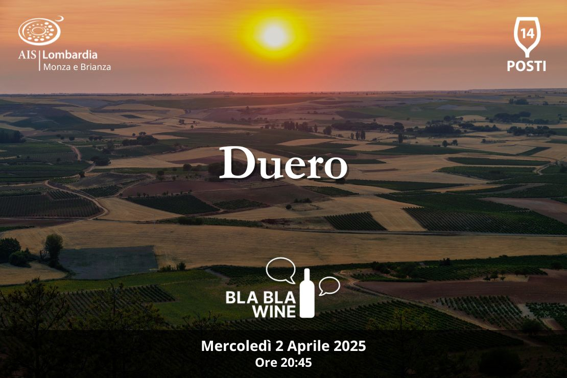 Bla Bla Wine. Duero