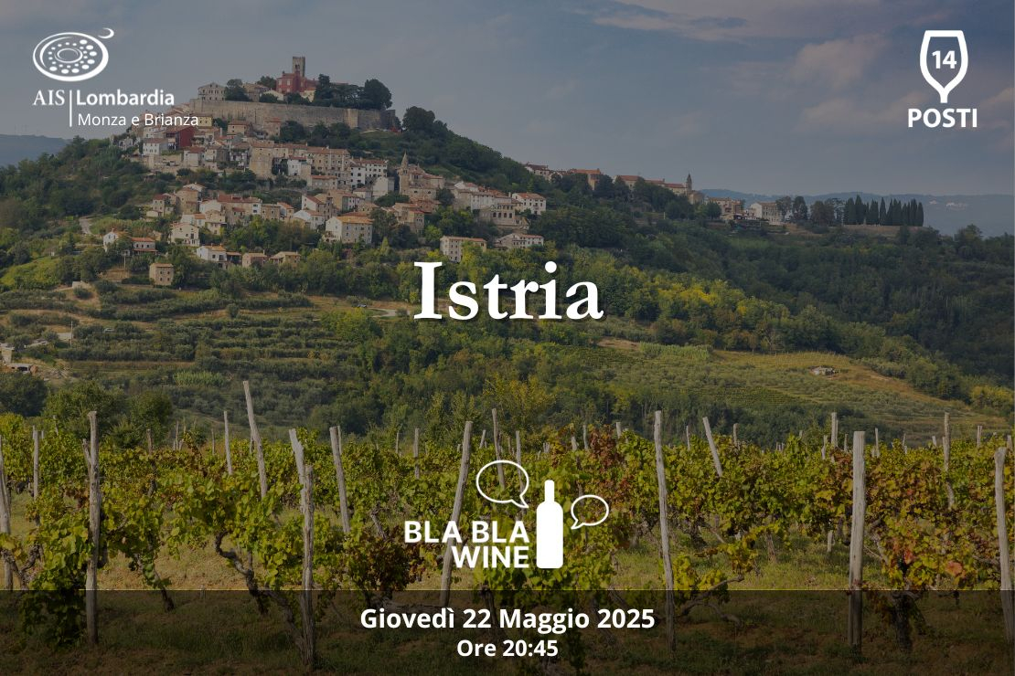 Bla Bla Wine. Istria
