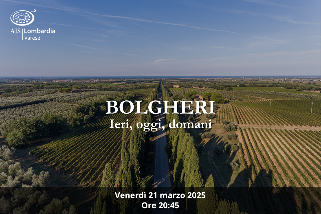 Bolgheri. Ieri, oggi, domani
