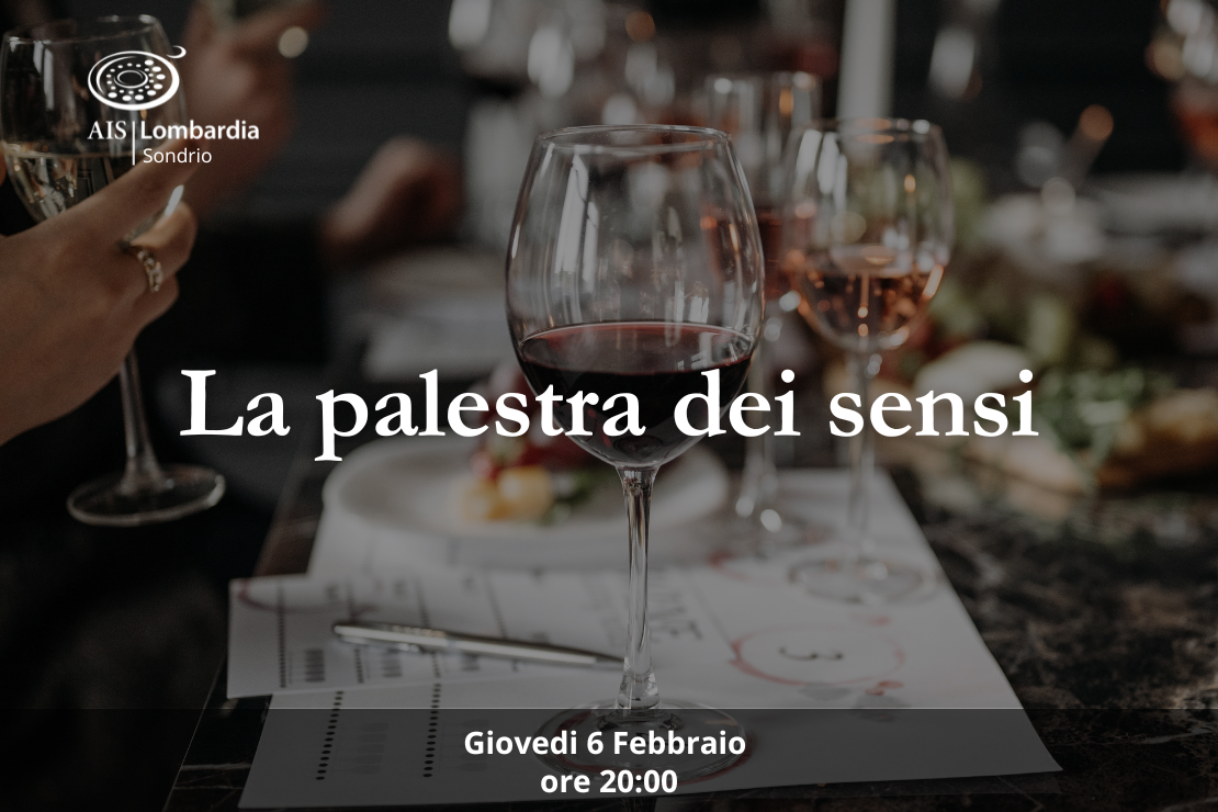 La palestra dei sensi