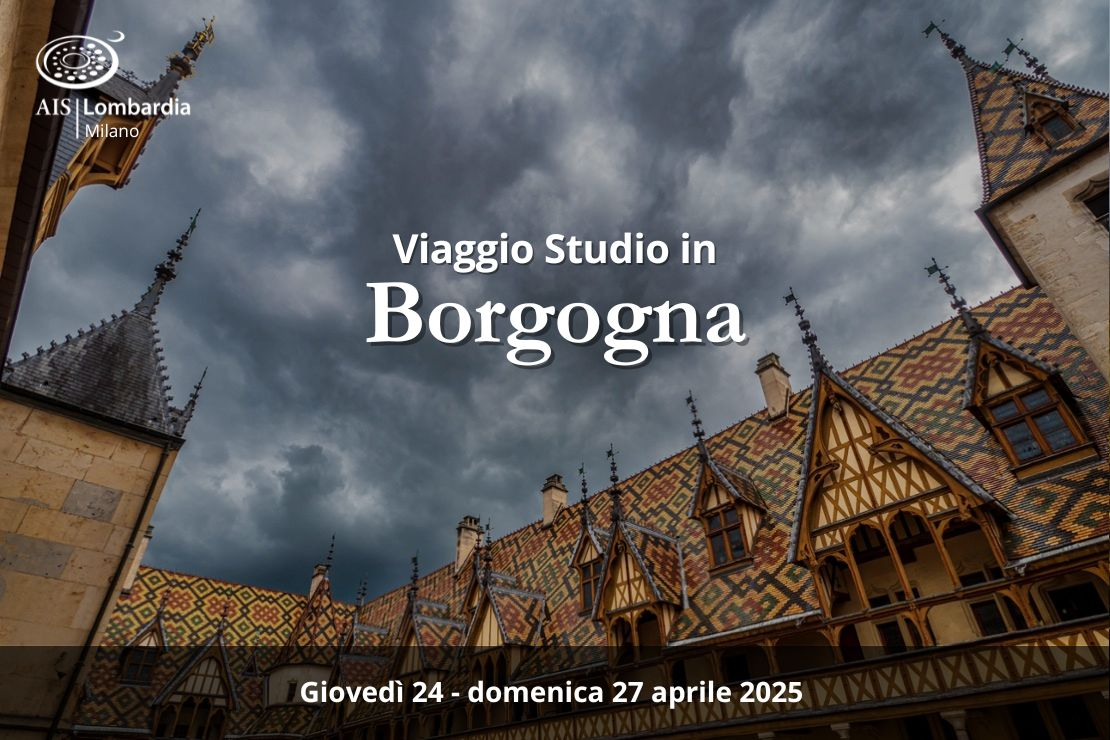 Viaggio Studio in Borgogna