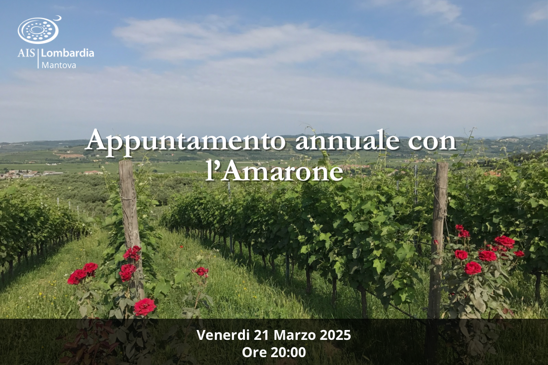 Appuntamento annuale con l'Amarone