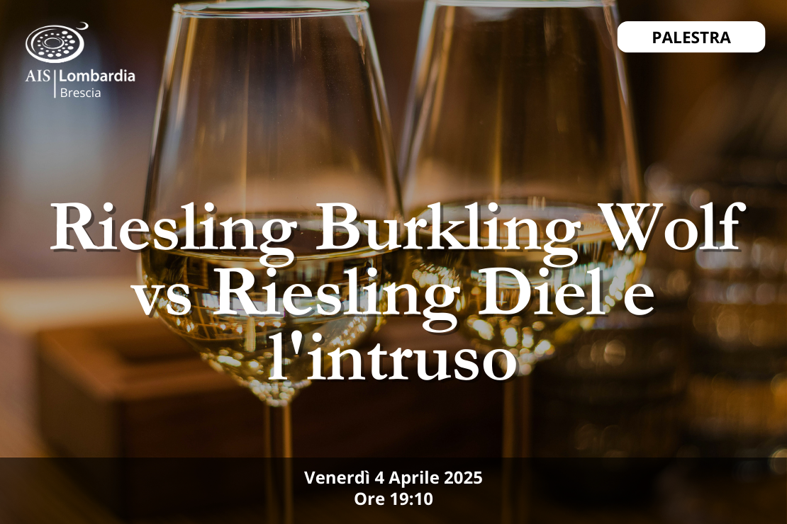 Palestra| Riesling Burkling Wolf vs Riesling Diel e intruso