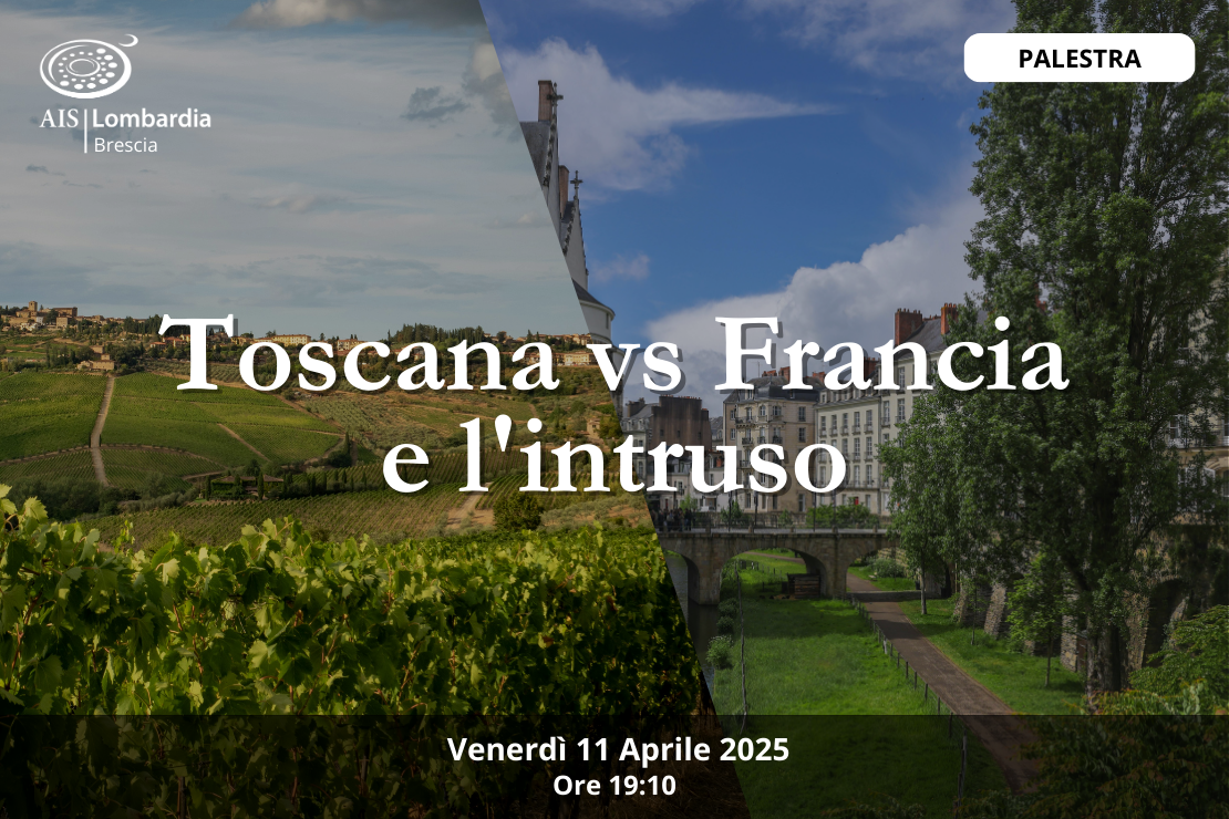 Palestra| rossi Toscana vs rossi Francia con l’intruso