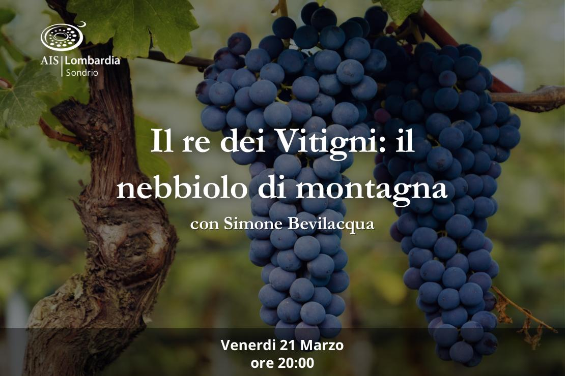 Il re dei vitigni: il nebbiolo di montagna