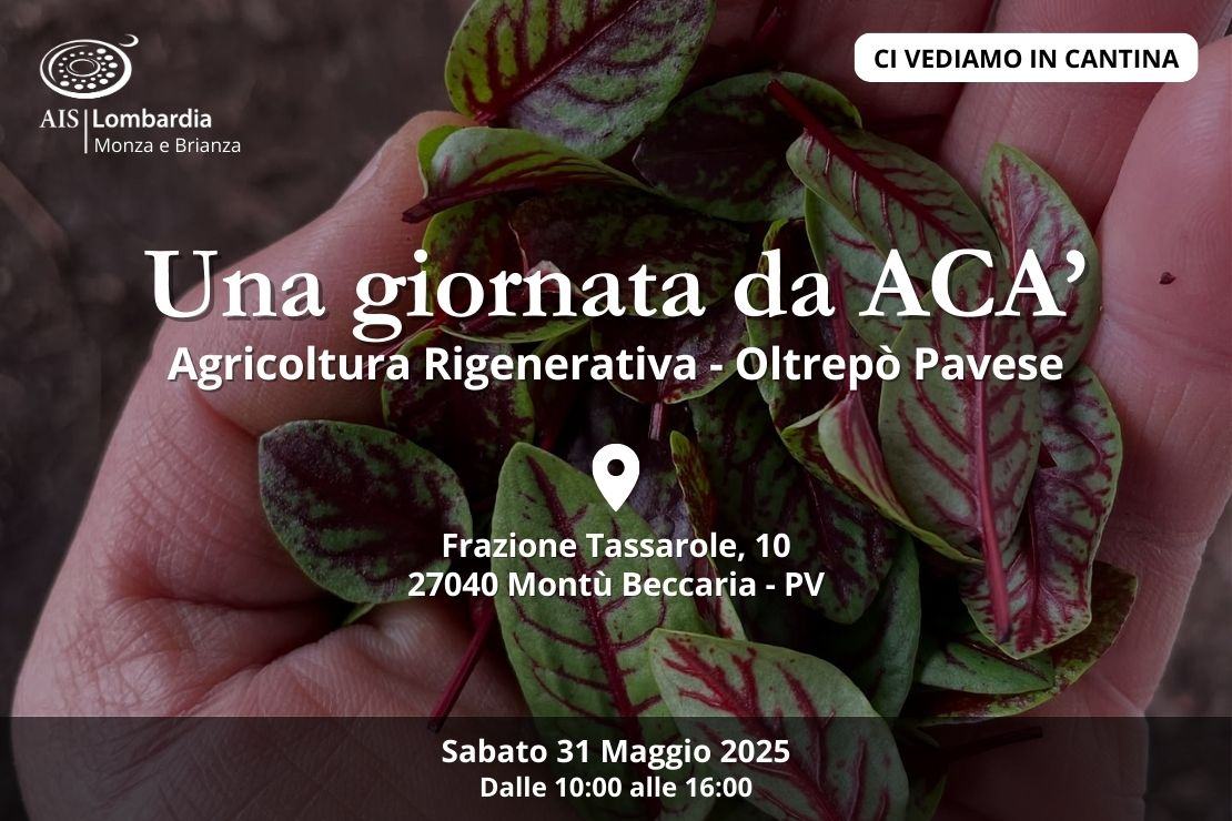 Ci vediamo in cantina. Una giornata da ACA'