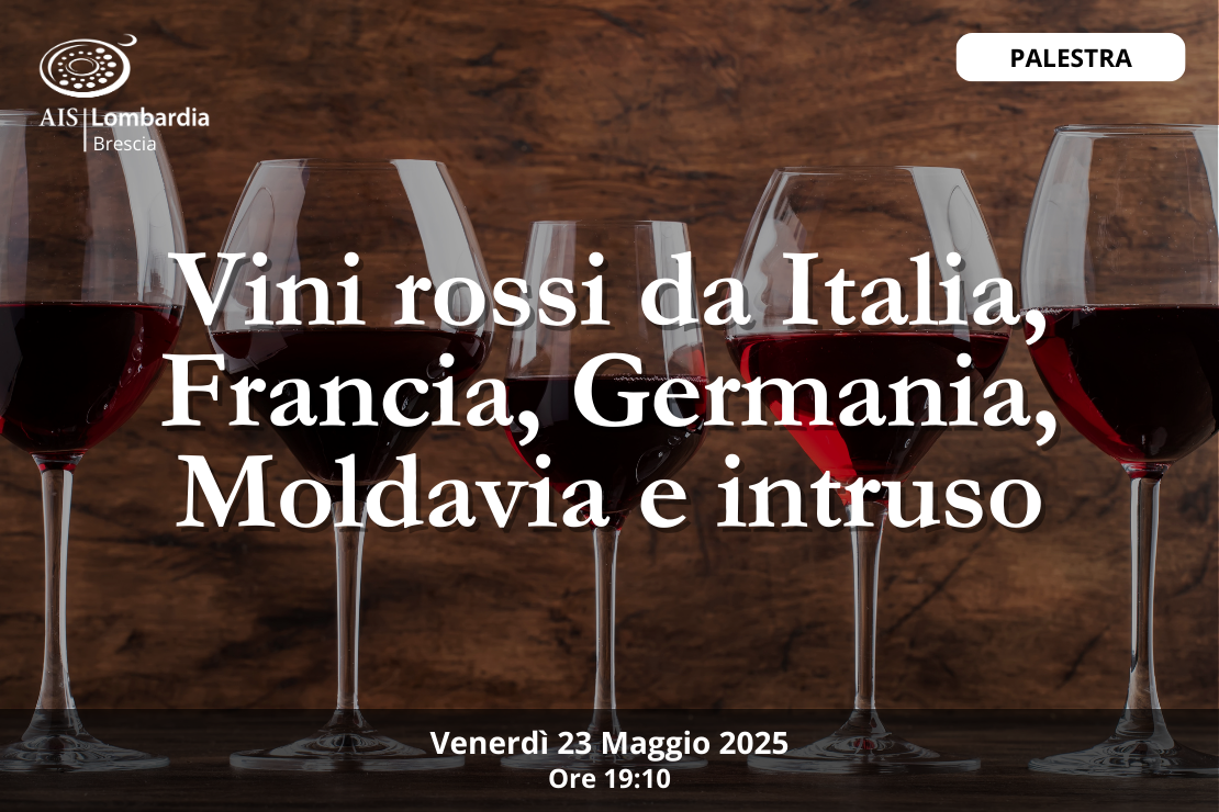 Palestra | Vini rossi da Italia, Germania, Francia, Moldavia e intruso