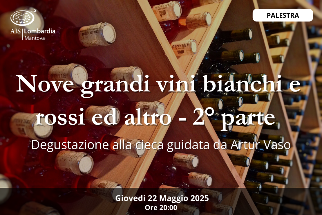 Nove grandi vini bianchi e rossi e altro – 2ª parte