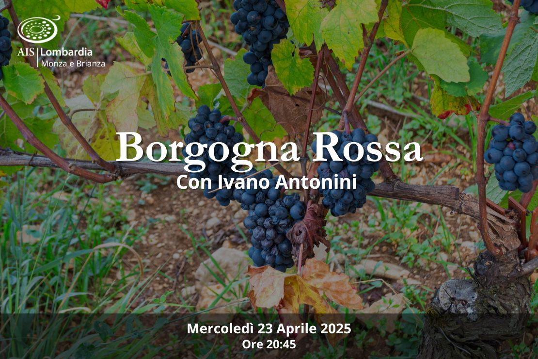 Borgogna Rossa. Con Ivano Antonini