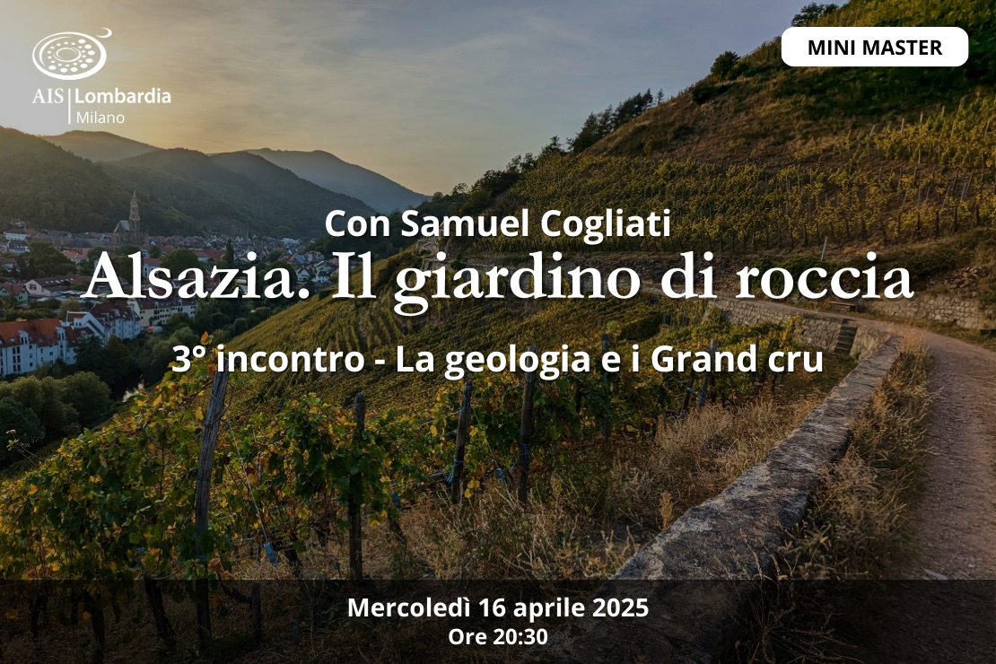 Alsazia. Il giardino di roccia - 3° Incontro - La Geologia e i Grand Cru