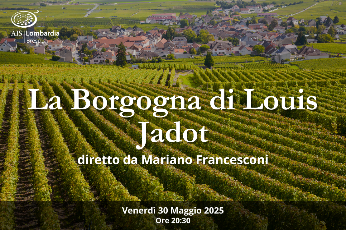 Serata| La Borgogna di Louis Jadot