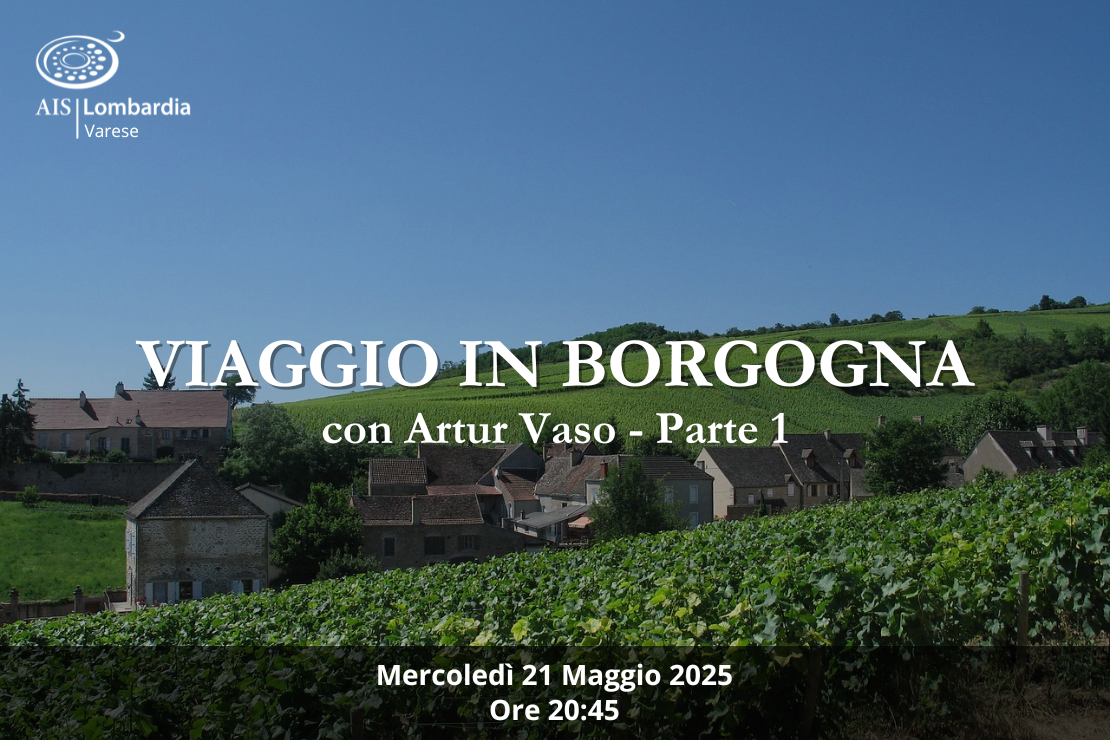 Viaggio in Borgogna con Artur Vaso - Parte 1
