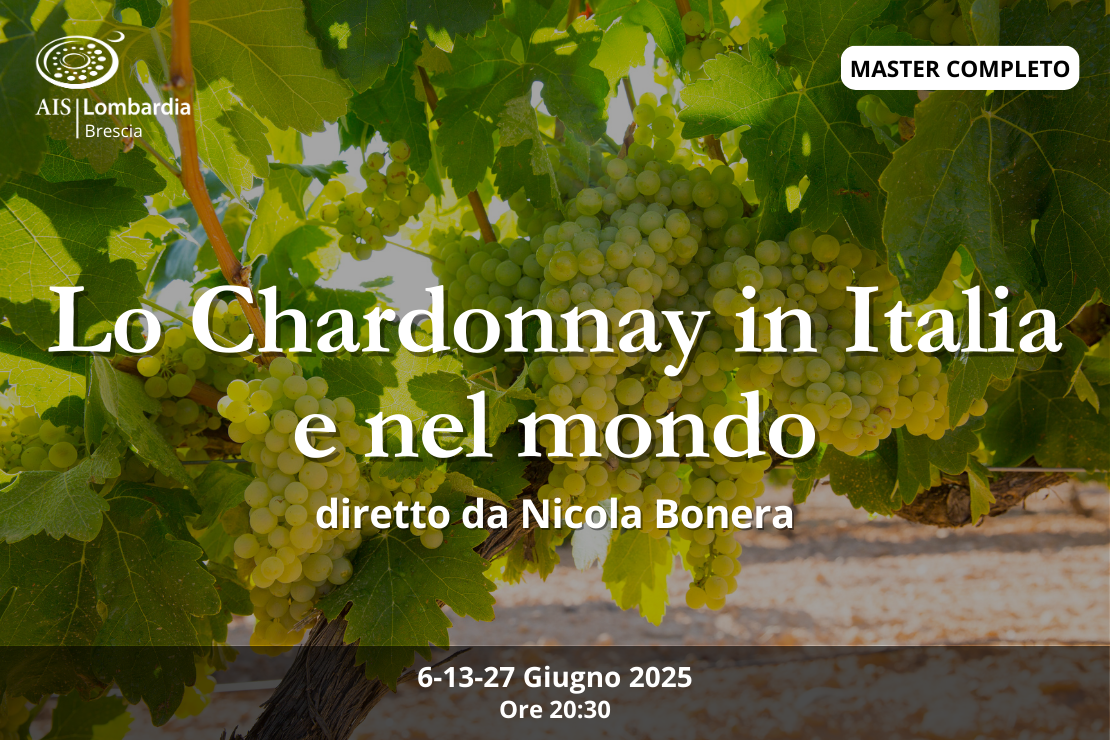 Master| Lo chardonnay in Italia e nel Mondo, tutto il master