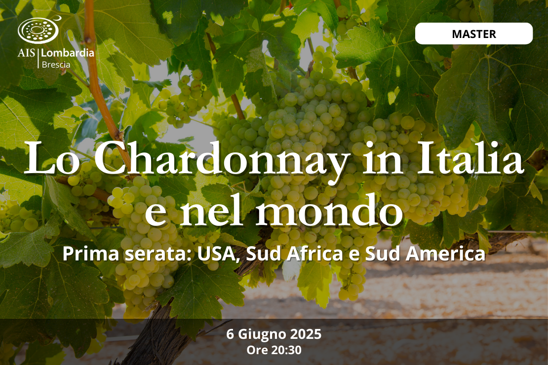 Master| Lo chardonnay in Italia e nel Mondo – prima serata: Usa, Sud Africa, Sud America