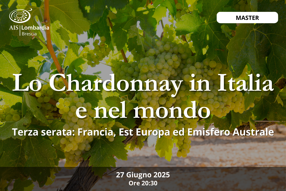 Master| Lo chardonnay in Italia e nel Mondo – terza serata: Francia, Est Europa, Emisfero Australe