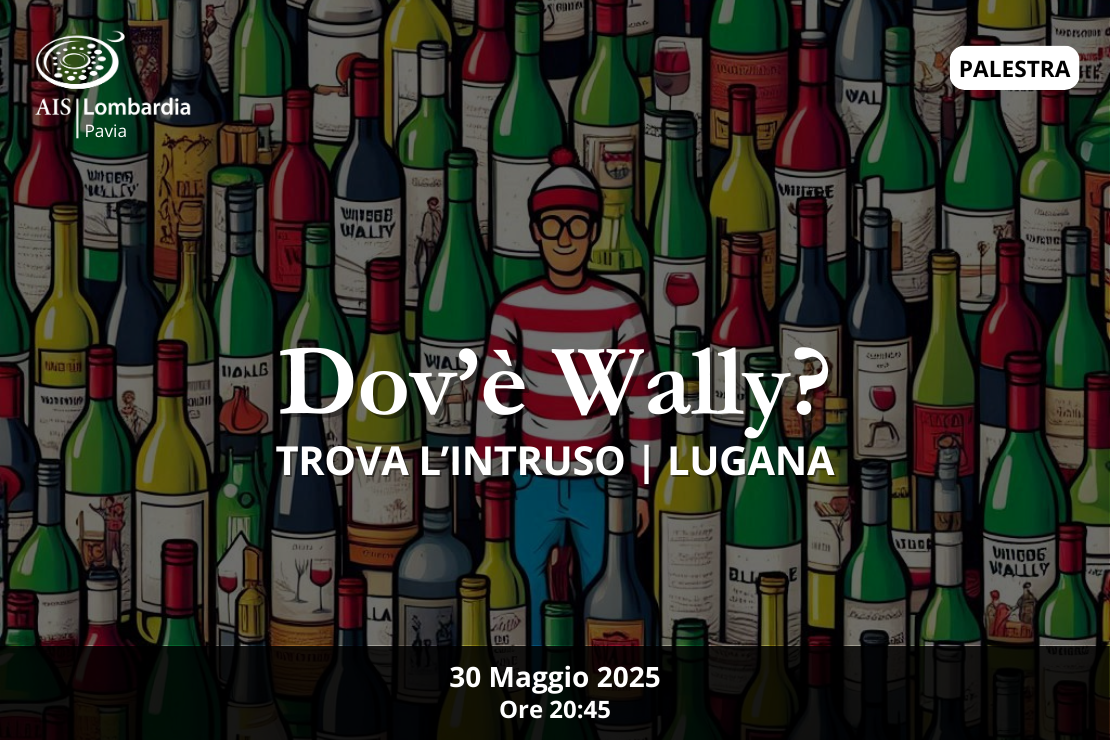 Dov'è Wally? | Trova l'intruso, Lugana