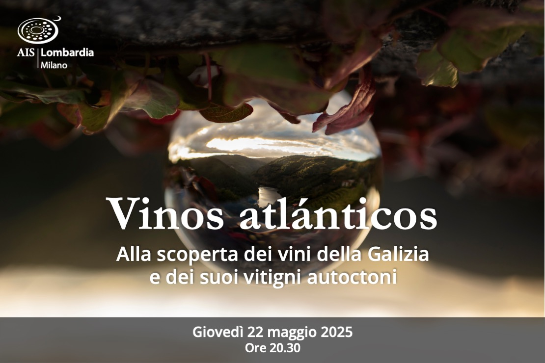 Vinos atlánticos: alla scoperta dei vini della Galizia e dei suoi vitigni autoctoni