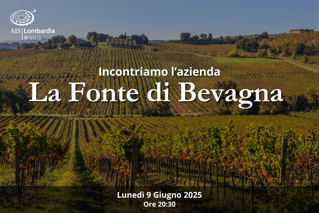 Azienda| La Fonte di Bevagna