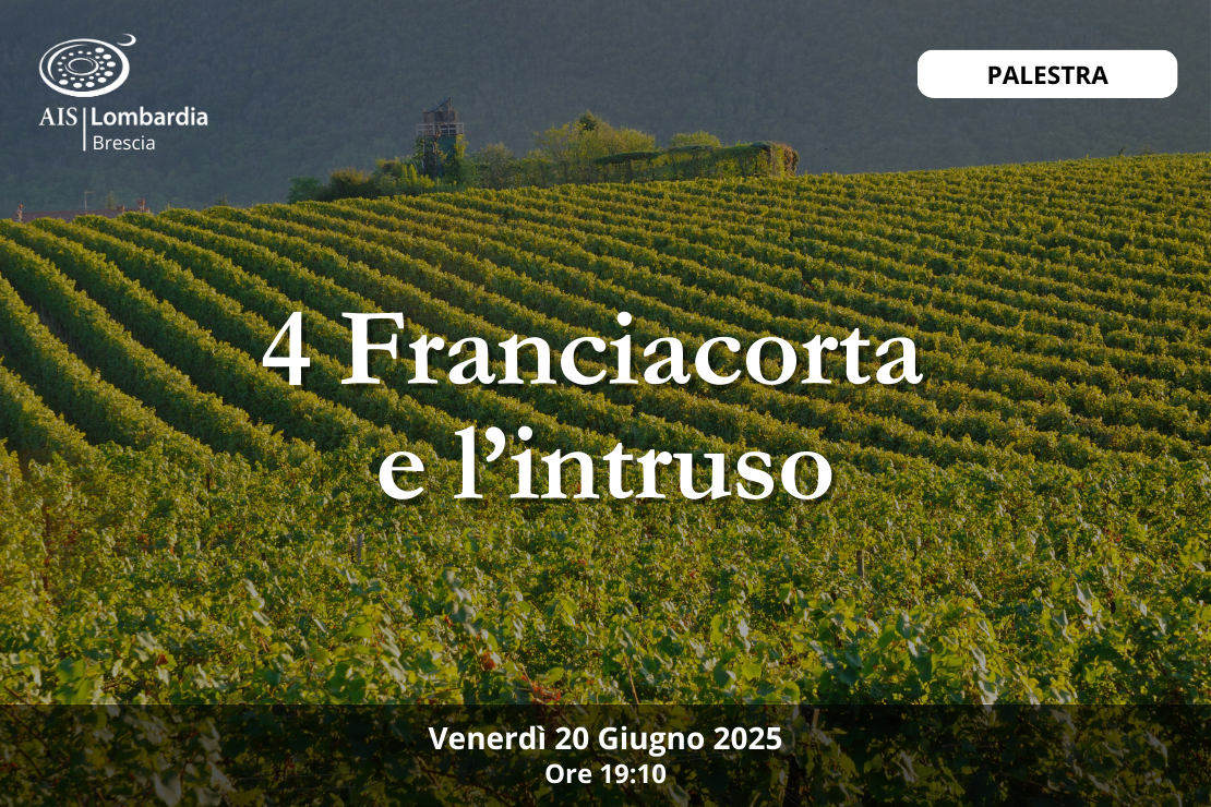 Palestra| 4 Franciacorta e l’intruso