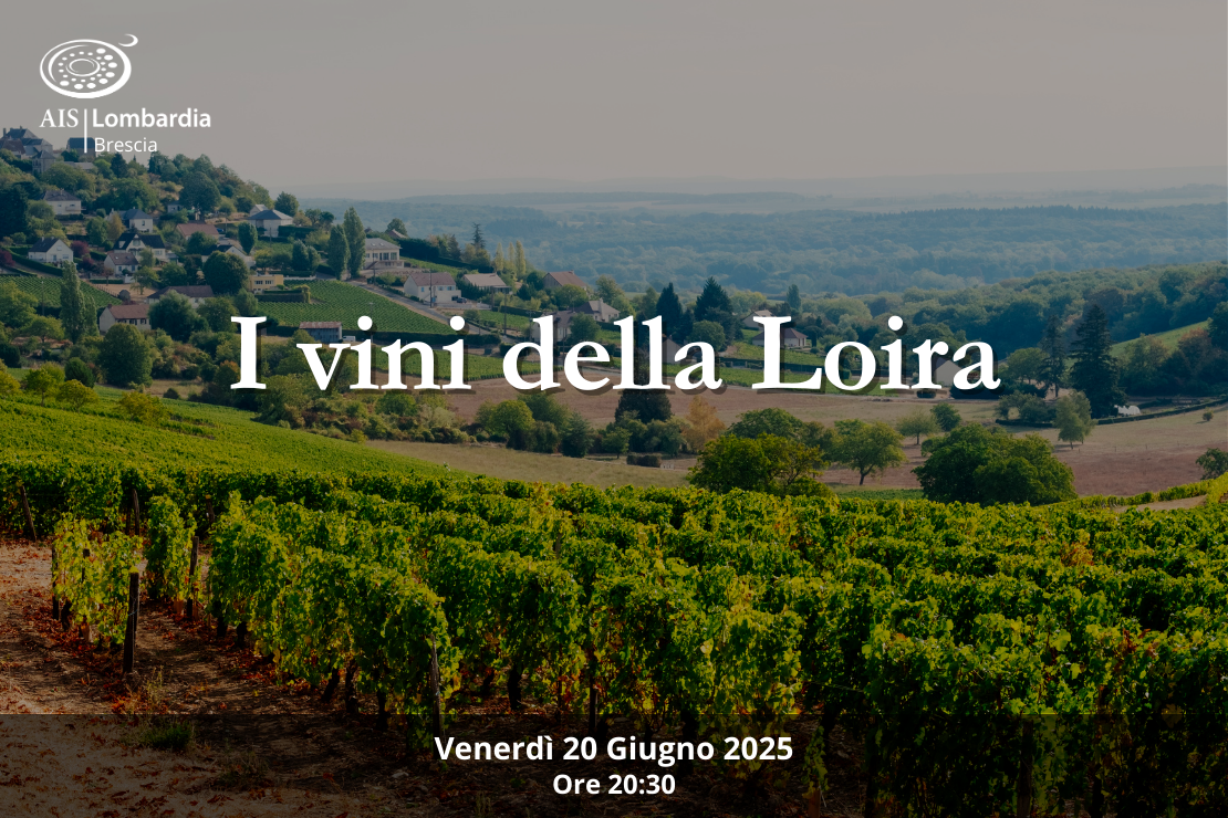 Serata| I vini della Loira
