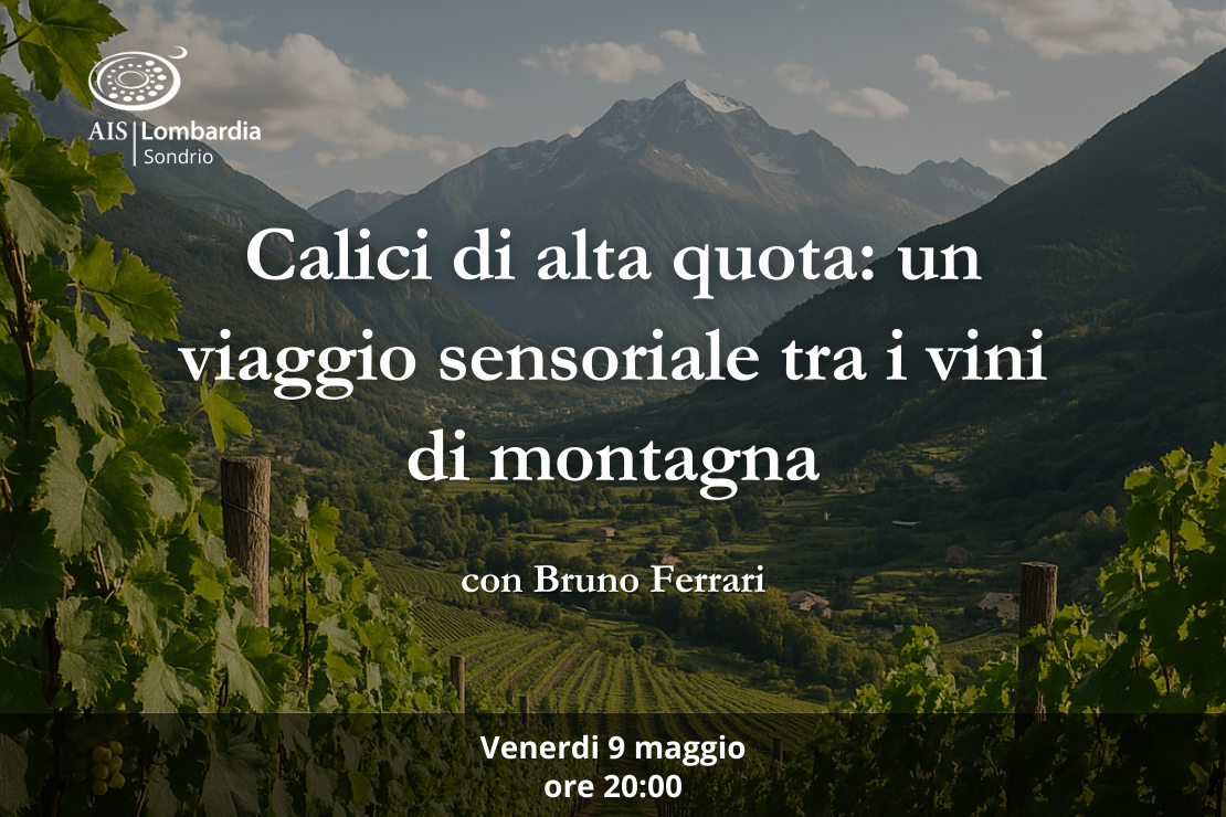 Calici di alta quota: un viaggio sensoriale tra i vini di montagna
