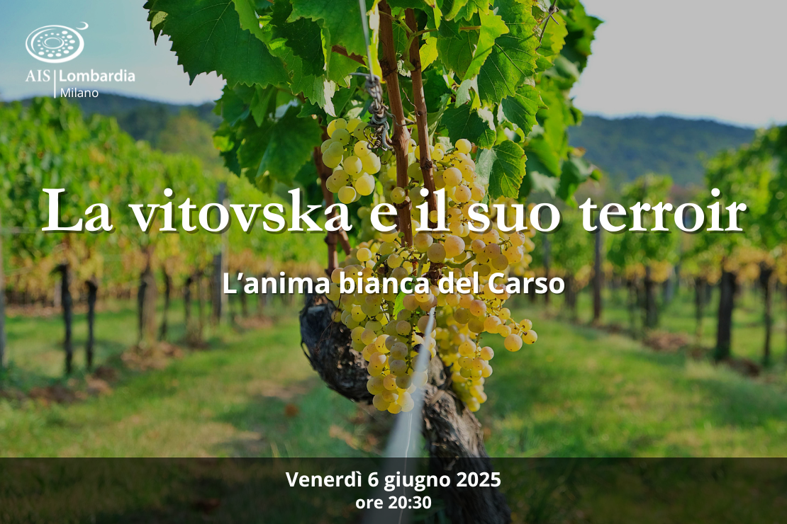La vitovska e il suo terroir: l’anima bianca del Carso