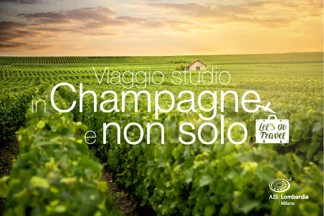 Viaggio studio nella Champagne
