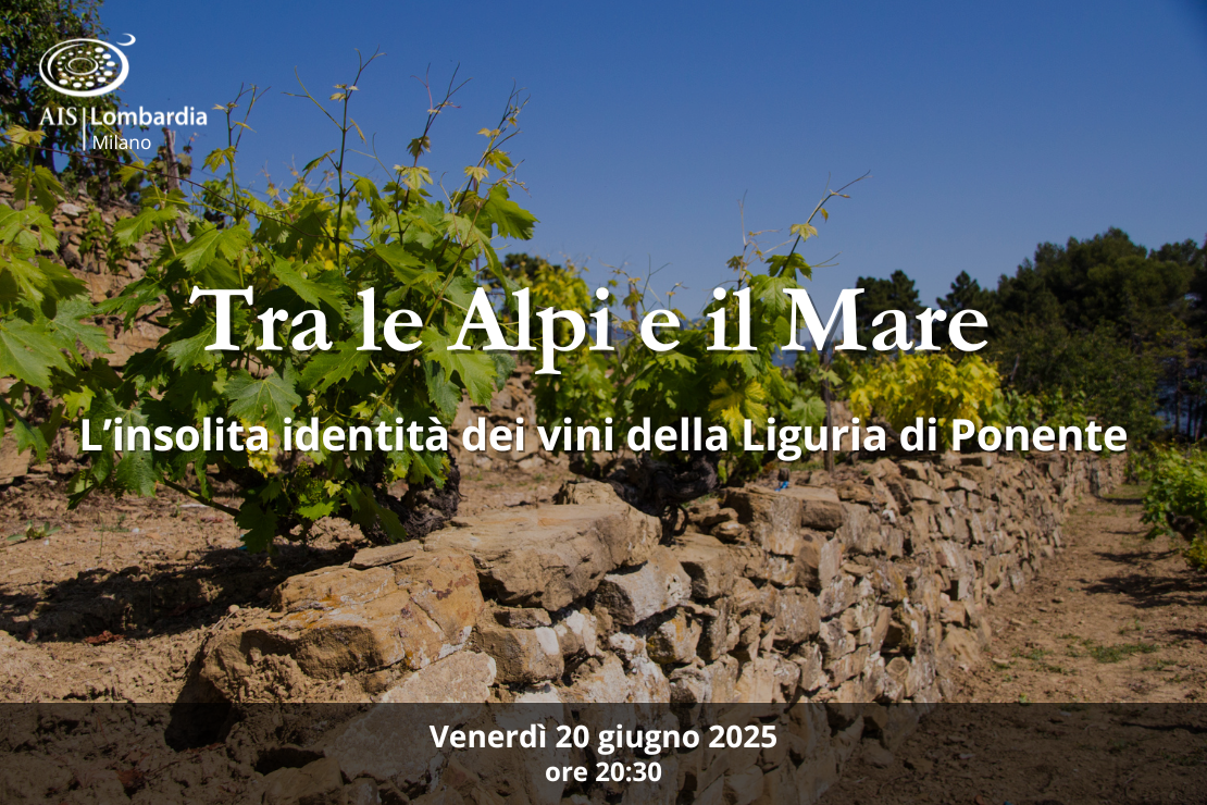 Tra le Alpi e il Mare: l’insolita identità dei vini della Liguria di Ponente