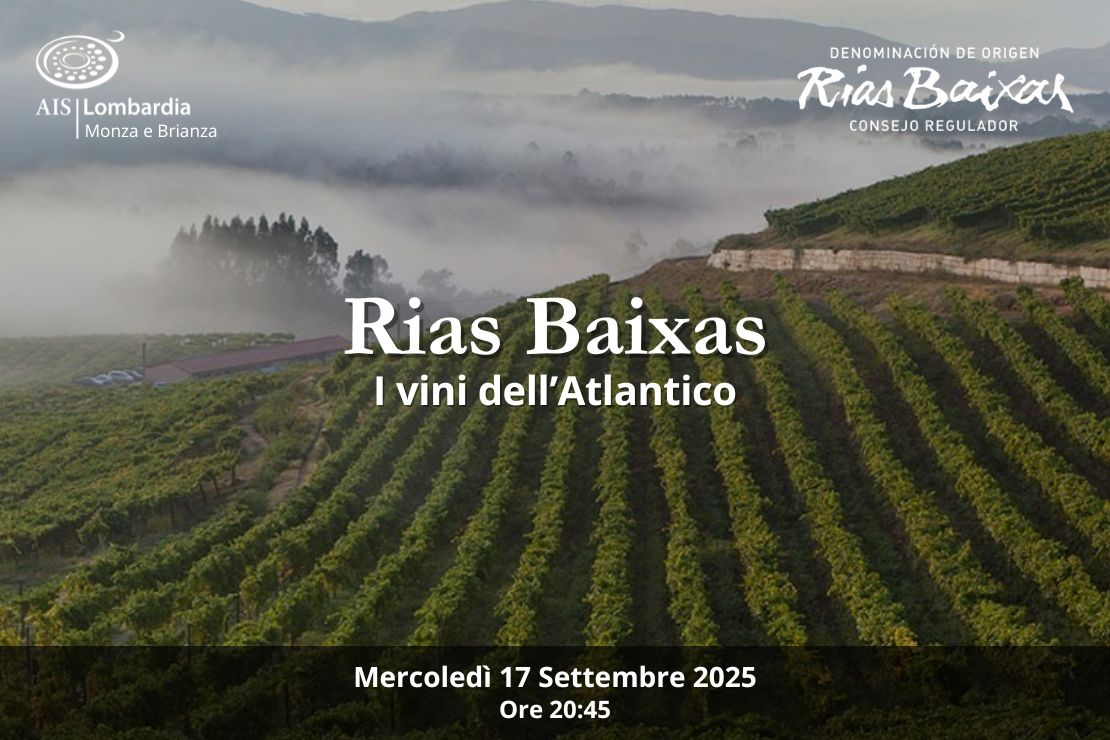 Rias Baixas. I vini dell’Atlantico