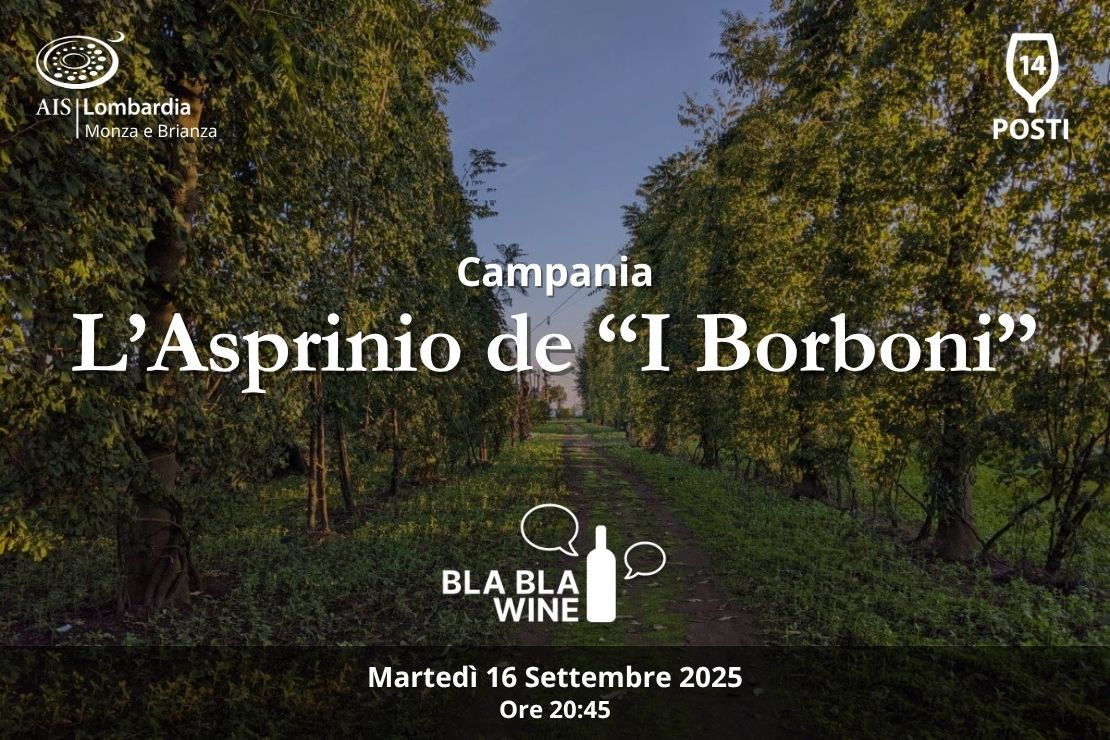 Bla Bla Wine. Campania. L'Asprinio de "I Borboni"