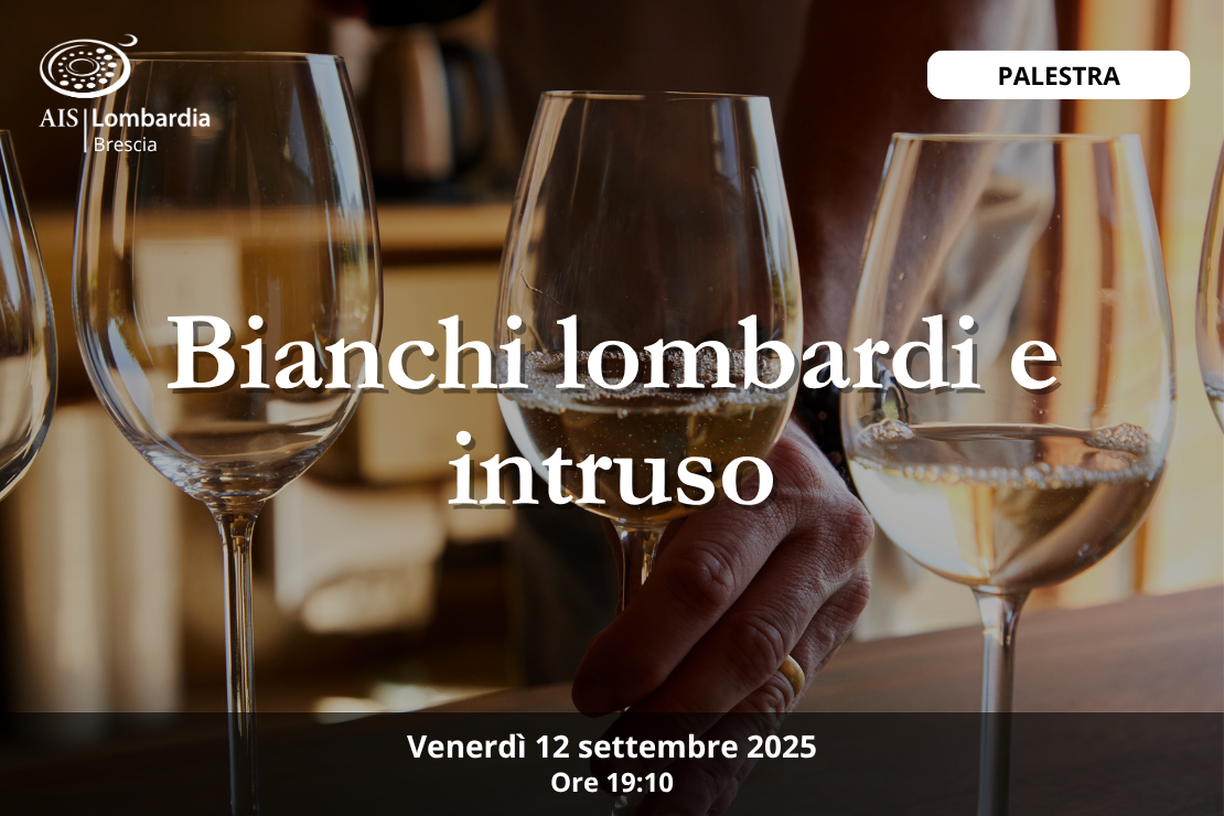Palestra - Bianchi lombardi e intruso