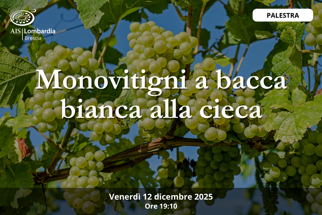 Palestra - vini bianchi monovitigno alla cieca