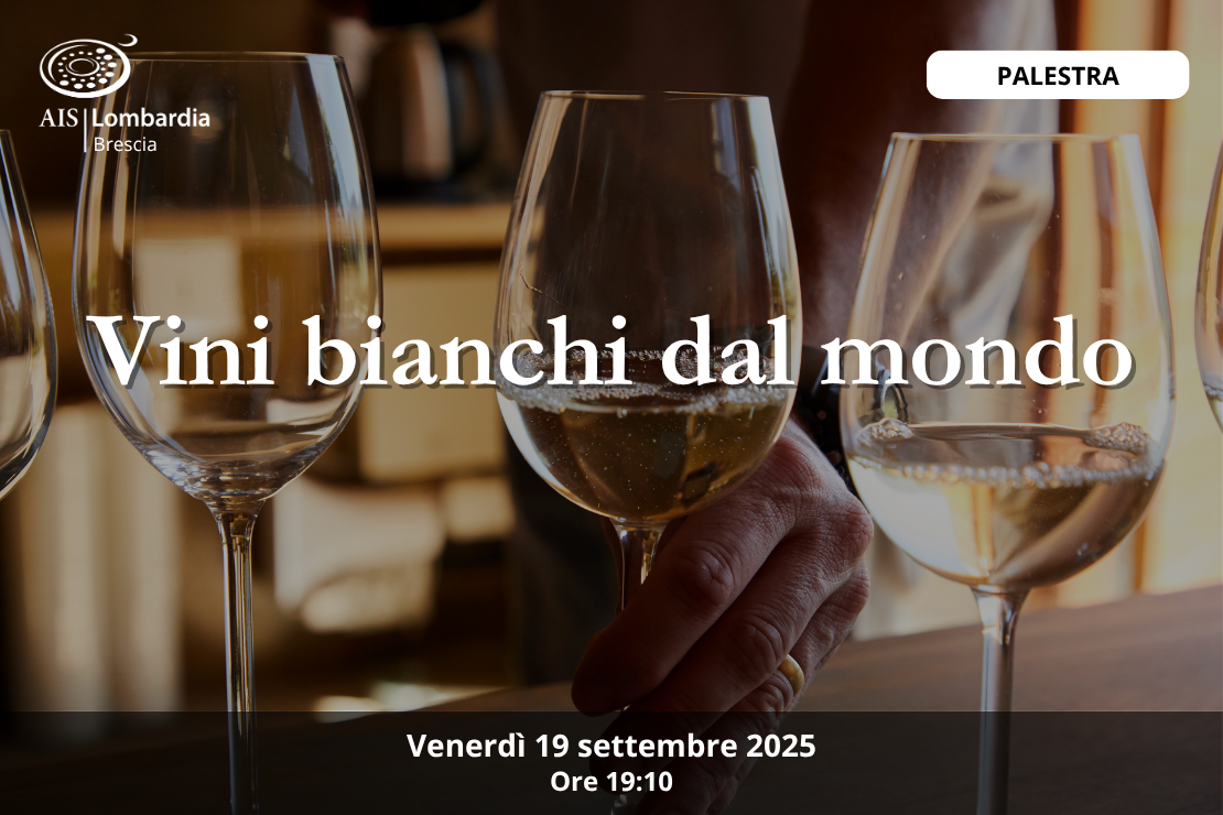 Palestra - Vini bianchi dal mondo
