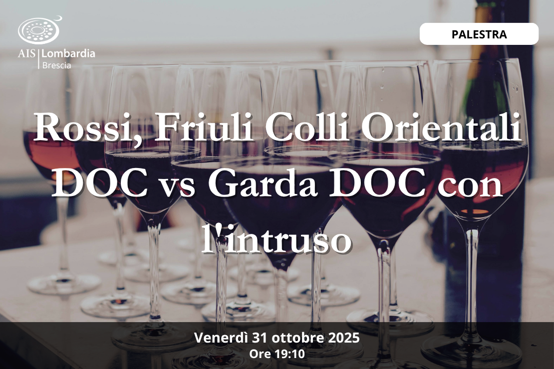 Palestra - rossi Friuli colli orientali vs Garda e l'intruso