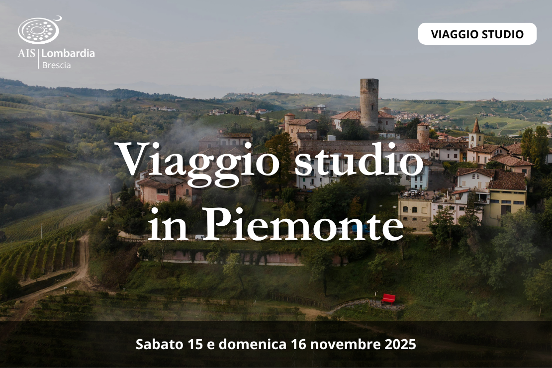 Viaggio studio: Langhe, Asti e Monferrato