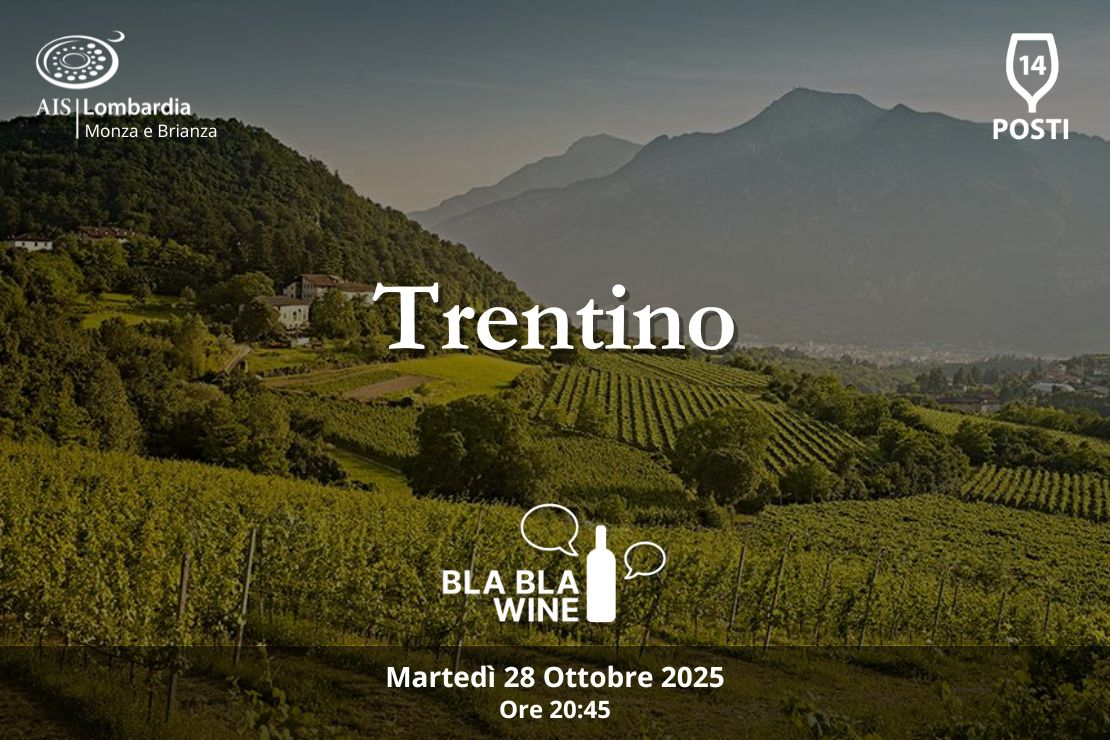 Bla Bla Wine. Trentino