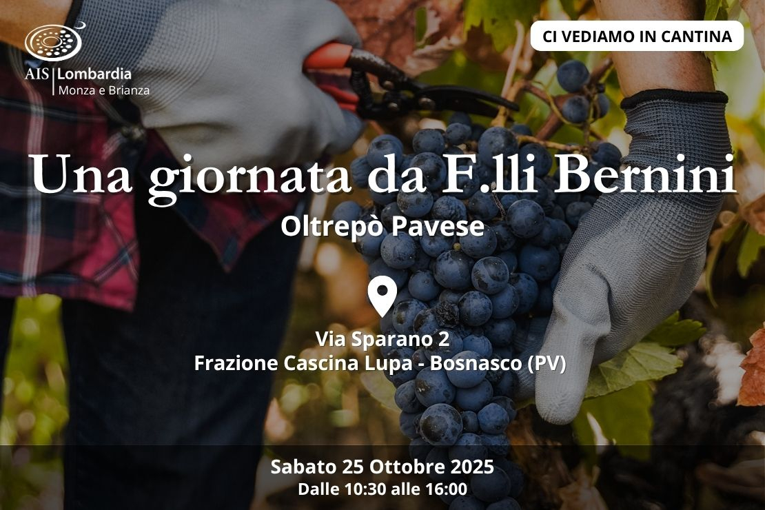 Ci vediamo in cantina. Una giornata da F.lli Bernini