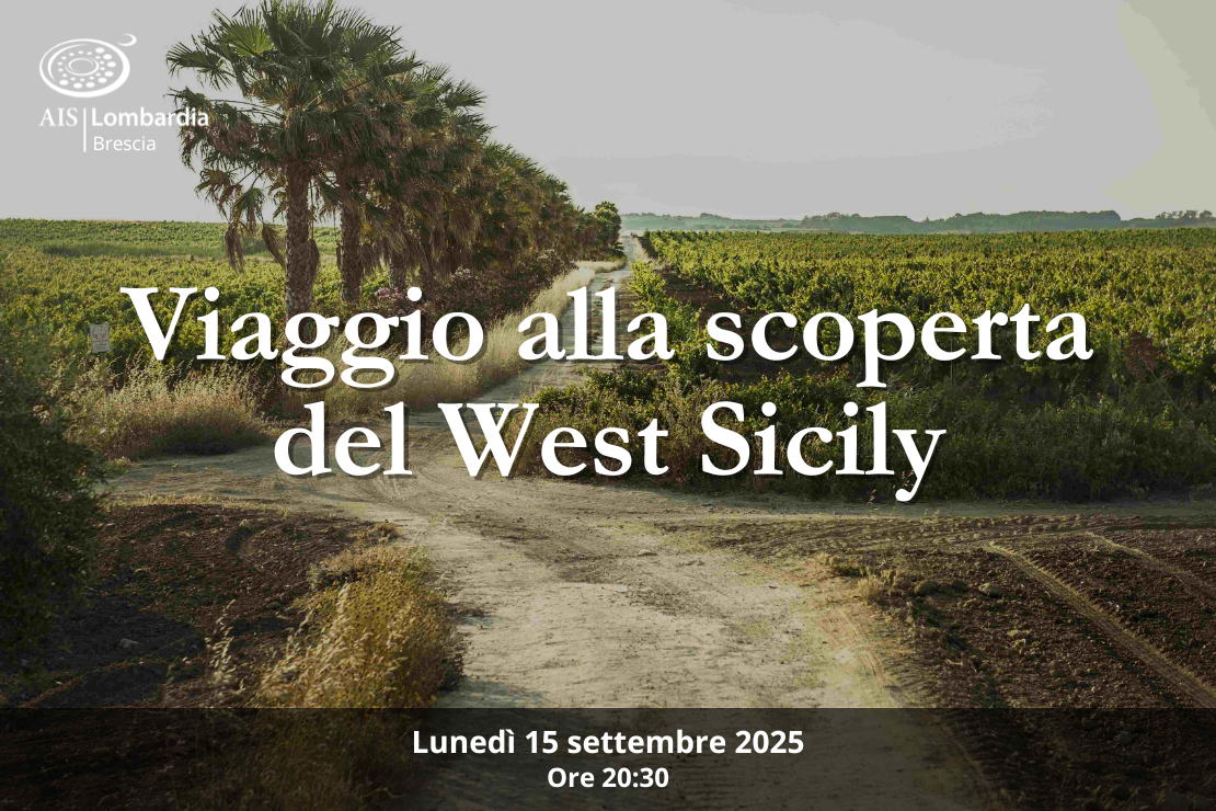 Azienda - Viaggio alla scoperta del West Sicily