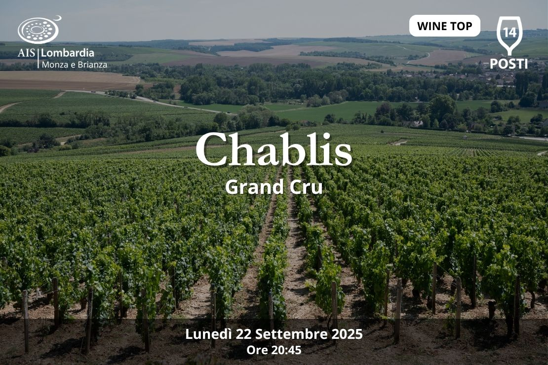 Wine Top. Chablis Grand Cru