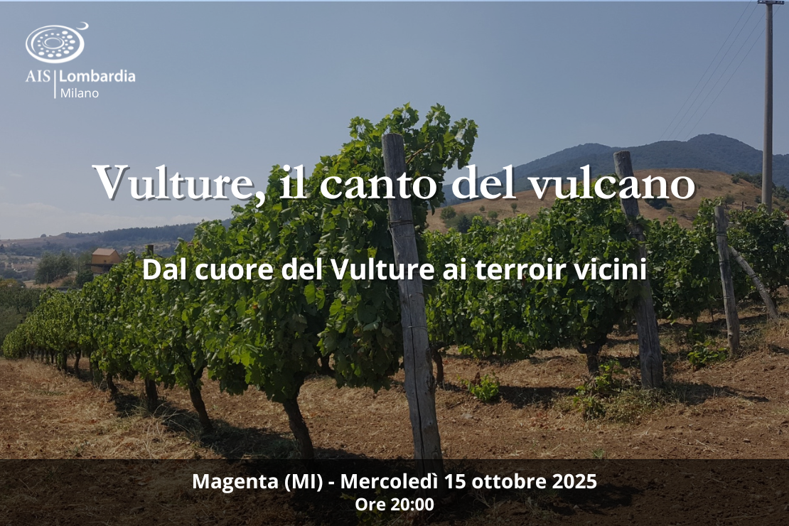 "Vulture, il canto del vulcano e l’eco di altri terroir”, a Magenta