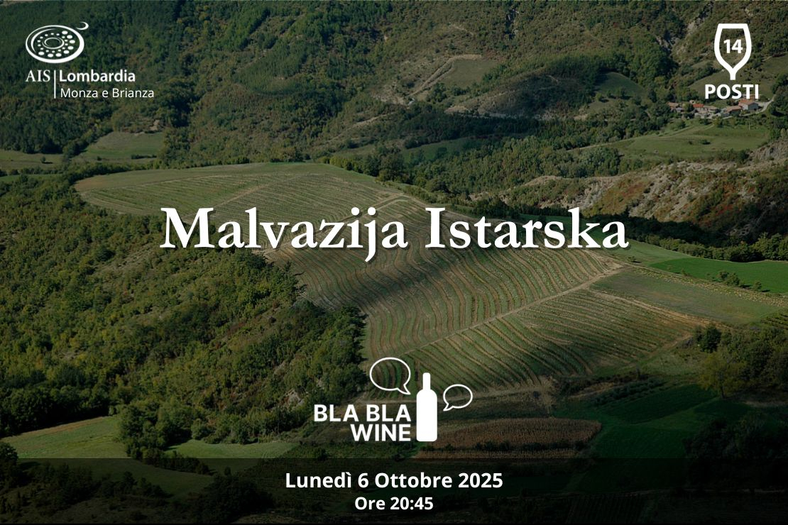 Bla Bla Wine. Malvazija Istarska
