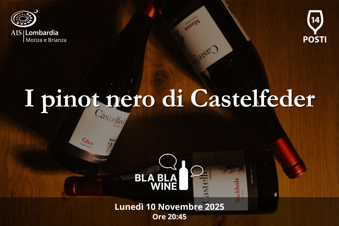 Bla Bla Wine. I Pinot Nero di Castelfeder