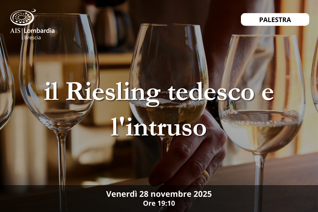 Palestra - Il riesling tedesco e l'intruso