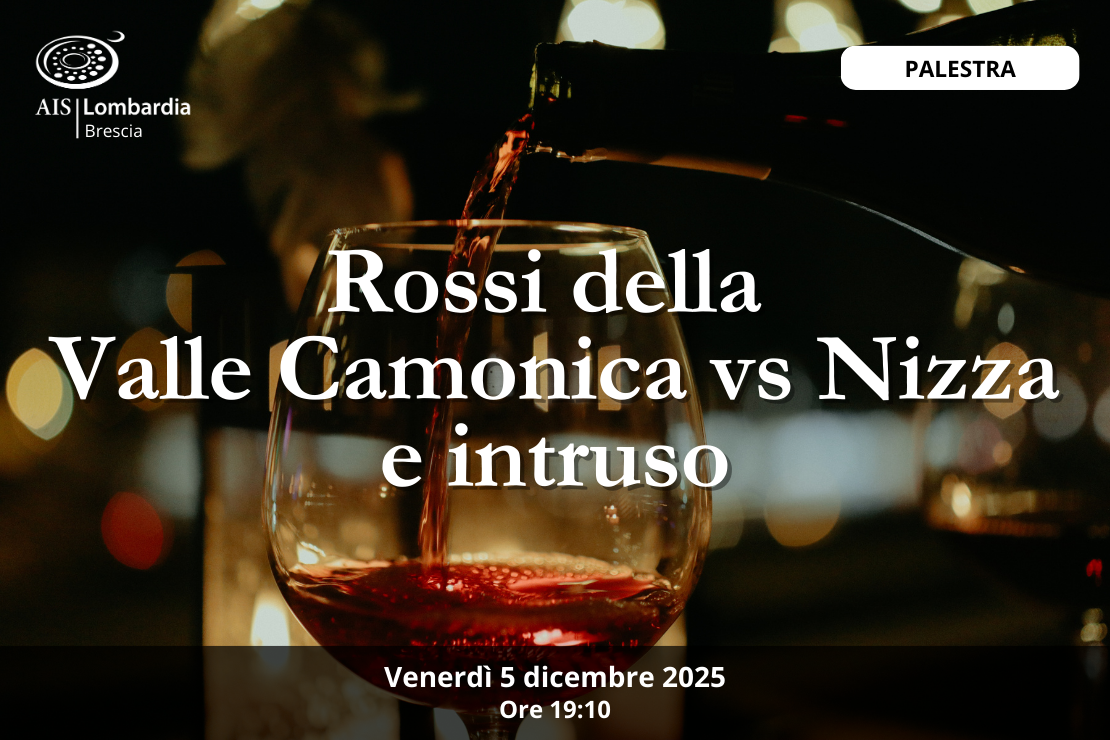 Palestra - Rossi Valle Camonica IGT vs Nizza DOCG